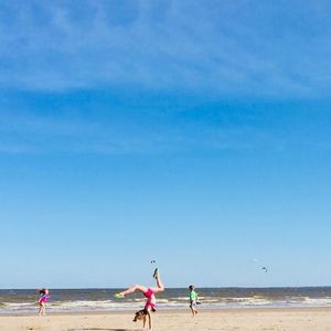 Meet your Posher, Stevie